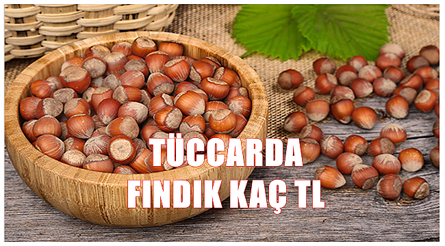 Fındık fiyatı 24 Ekim Pazartesi günü kaç TL oldu?