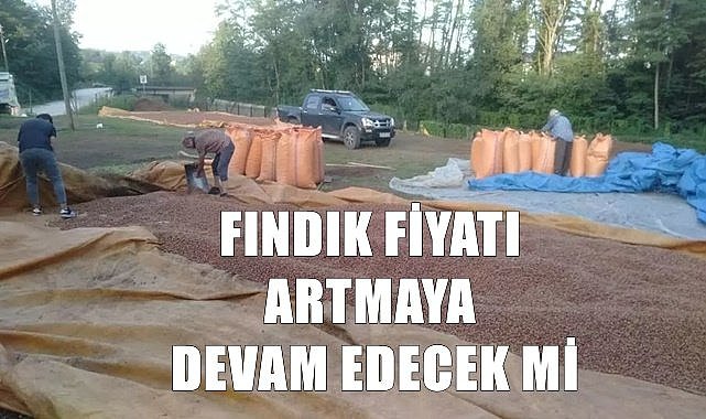 Fındık fiyatı 27.10.2022