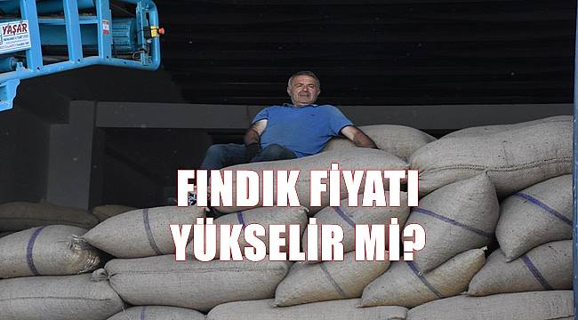 Fındık fiyatı yükselir mi?