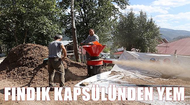 Fındık kapsülünden hayvan yemi elde ediliyor