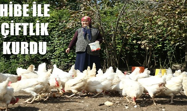 Hibe ile tavuk çiftliği kurdu