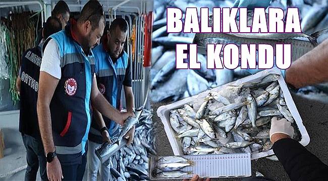 Ordu'da 1477 kilo balığa el kondu