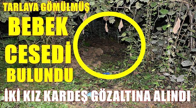 Ordu'da anne ve teyze gözaltına alındı