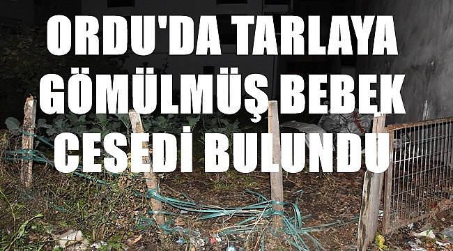 Ordu&#039;da tarlaya gömülmüş bebek cesedi bulundu