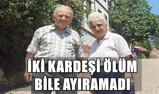 Ordu&#039;da Toraman kardeşleri ölüm bile ayıramadı