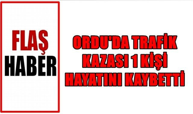 Ordu&#039;da trafik kazasında 1 kişi hayatını yitirdi