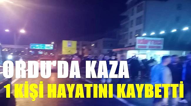 Ordu'da trafik kazasında 1 kişi öldü