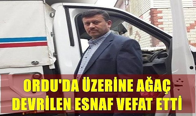 Ordu&#039;da üzerine ağaç devrilen esnaf vefat etti