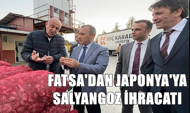 Ordu&#039;dan Japonya&#039;ya salyangoz ihraç ediliyor