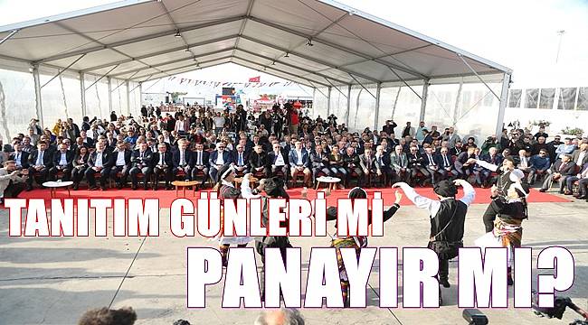 Ordu Tanıtım Günleri Mi Panayır Mı?