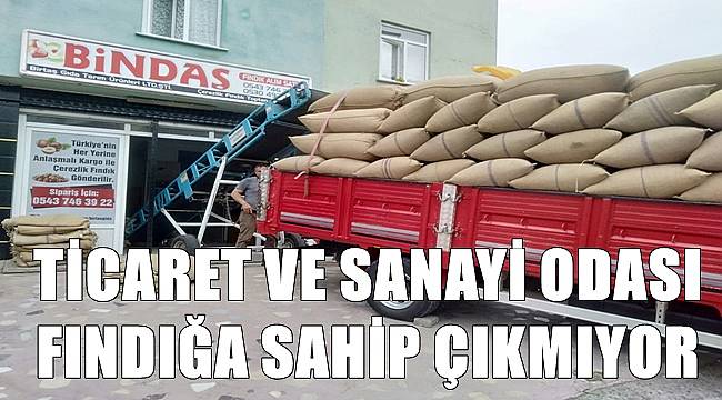 Ordu Ticaret ve Sanayi Odası fındığa sahip çıkmıyor!
