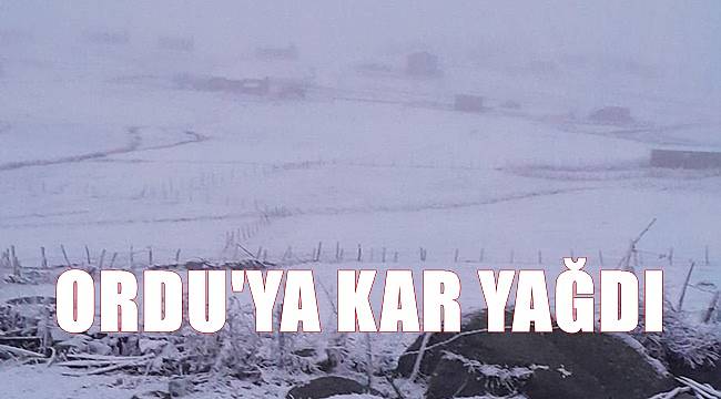 Ordu&#039;ya kar yağdı