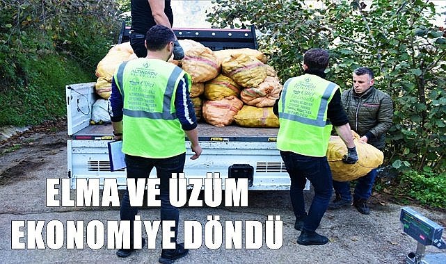 Altınordu Belediyesi elma ve üzüm aldı