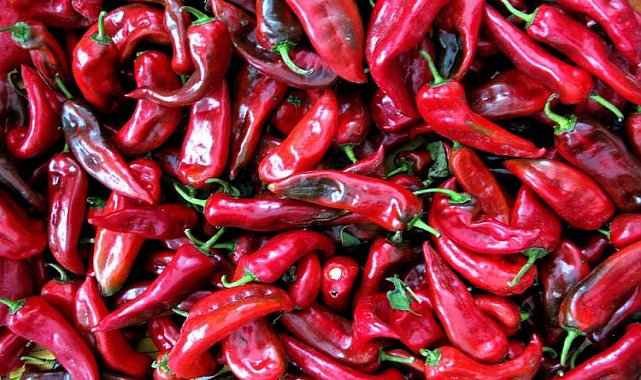 Bursa Yenişehir'in kırmızı biber reçeli kataloga alındı