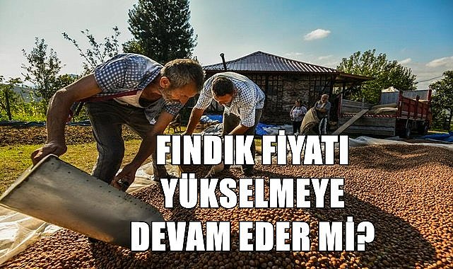 Fındık fiyatı 24.11.2022 Perşembe