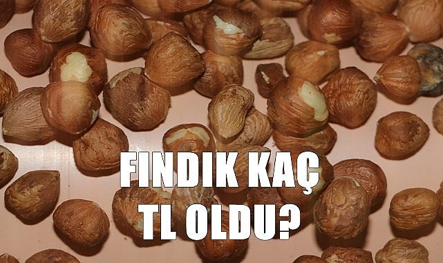 Fındık fiyatı 29.11.2022