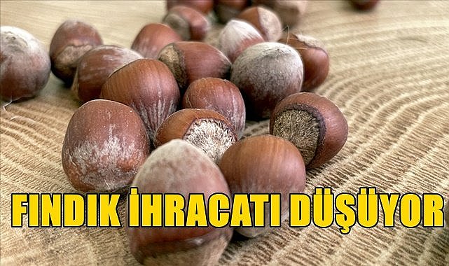 Fındık ihracatı düştü