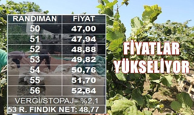 Fındık piyasası canlandı fiyatlar 47 TL&#039;yi aştı