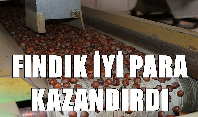 Fındık ülkeye 10 ayda 1 milyar 325 milyon dolar kazandırdı