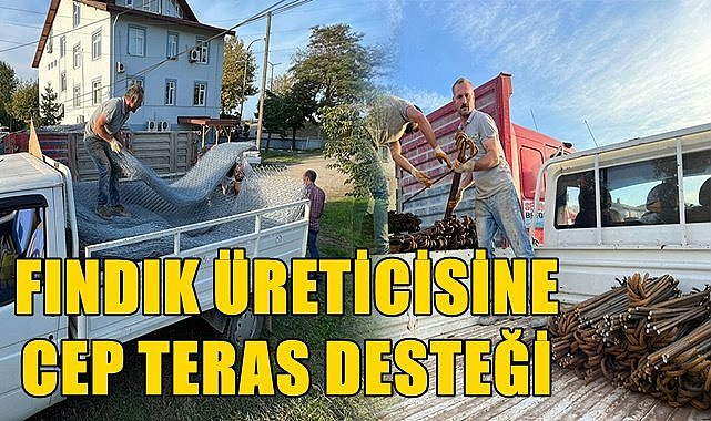 Fındıkta cep teras desteği