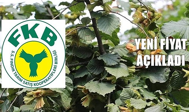 Fiskobirlik yeni fındık fiyatı açıkladı