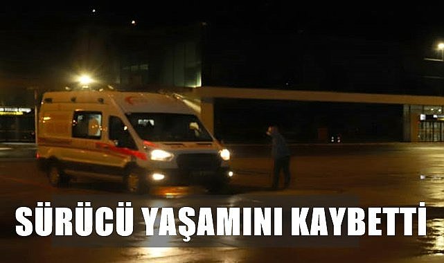 Kazada sürücü hayatını kaybetti
