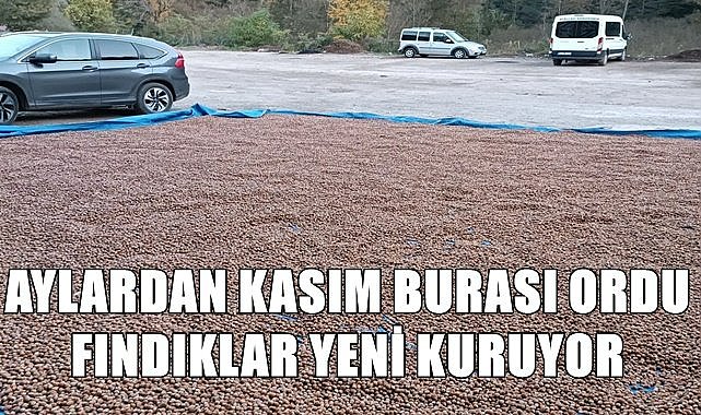 Kış geldi fındık kurumadı
