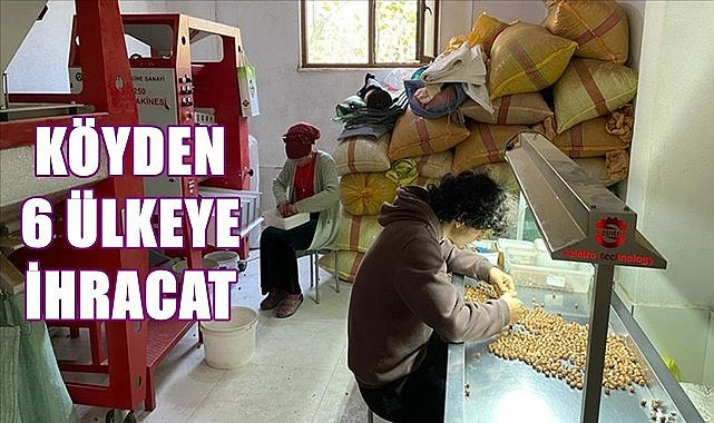 Köyden 6 ülkeye fındık ve fındık ezmesi ihraç ediliyor