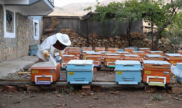 Mardinli kadınlardan &#039;bal&#039;lı kazanç