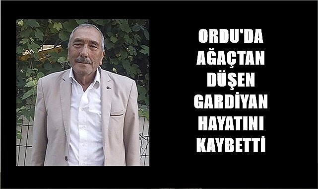 Ordu'da ağaçtan düşen gardiyan hayatını kaybetti