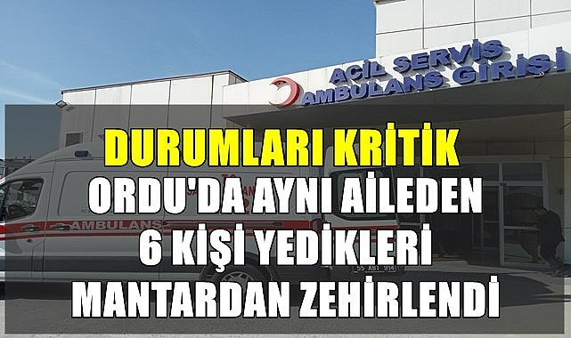 Ordu&#039;da aynı aileden 6 kişi yedikleri mantardan zehirlendi