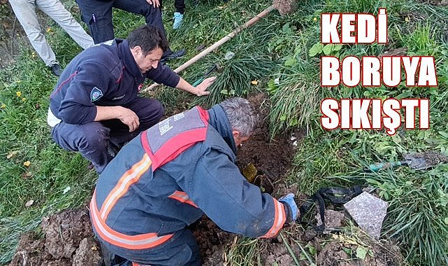 Ordu'da boruya sıkışan kedi kurtarıldı