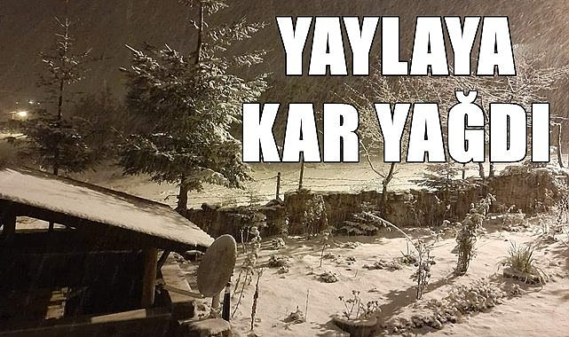 Ordu'da Çambaşı Yaylası'na kar yağdı