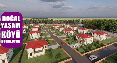 Ordu'da Doğal Yaşam Köyü Kuruluyor