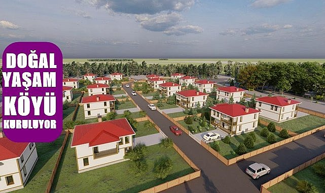 Ordu&#039;da Doğal Yaşam Köyü Kuruluyor