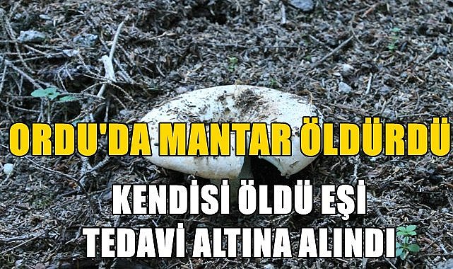 Ordu&#039;da fındık bahçesinden topladığı mantarı yiyen kişi öldü