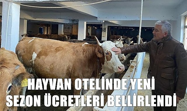 Ordu'da hayvan otelinde rezervasyonlar doldu