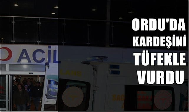 Ordu&#039;da kardeşini tüfekle vurdu