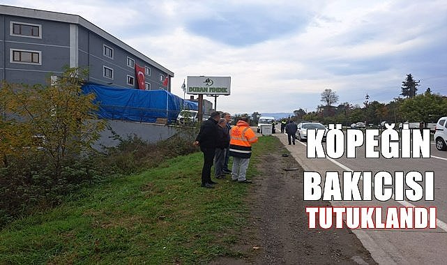 Ordu&#039;da mahkeme köpeğin bakıcısını tutukladı