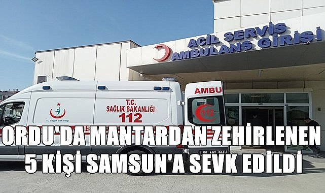 Ordu&#039;da mantardan zehirlenen aynı aileden 5 kişi Samsun&#039;a sevk edildi