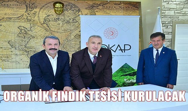 Ordu&#039;da organik fındık tesisi kurulacak