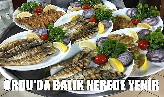 Ordu&#039;nun  balık restoranları
