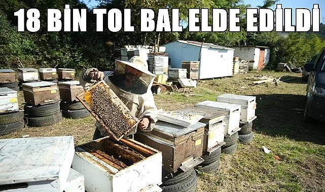 Ordulu arıcılar 18 bin tol bal elde etti
