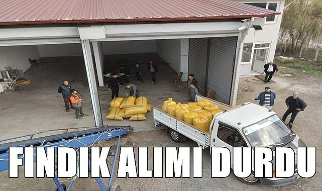 TMO Salıpazarı'nda fındık alımını durdurdu