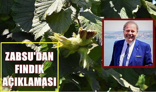 Zabsu&#039;dan flaş fındık açıklaması