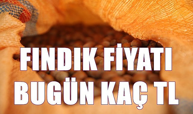 56 randıman fındık 58 TL