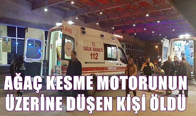 Ağaç kesme motorunun üzerine düşen kişi hayatını kaybetti