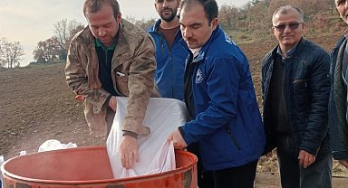 Bursa'da atıl topraklar buğday desteğiyle hayat buluyor