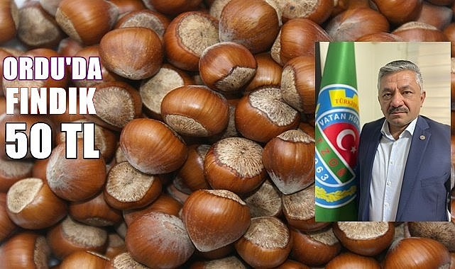 Fındık 50 TL