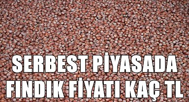 Fındık fiyatı 1.12.2022